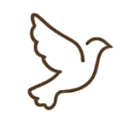 Authenticity & Passion